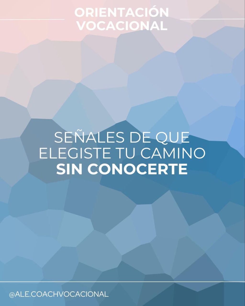 Instagram post from ale.coachvocacional. This post is in position 0.